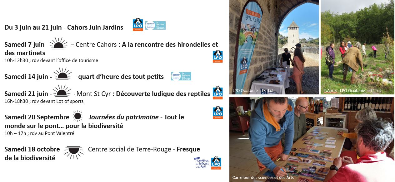 ABC Cahors_Animations grand public 2