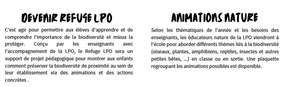 Animations jeune public_ABC Cahors