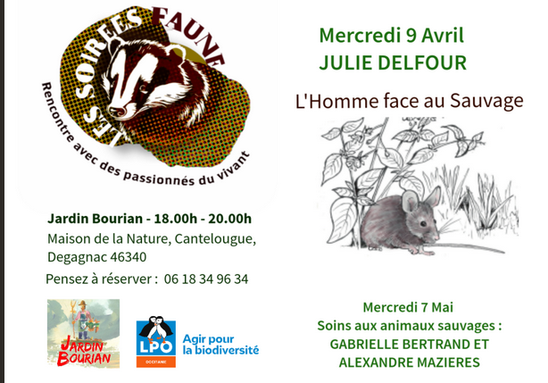 Annonce soirée avec Julie delfour illustration