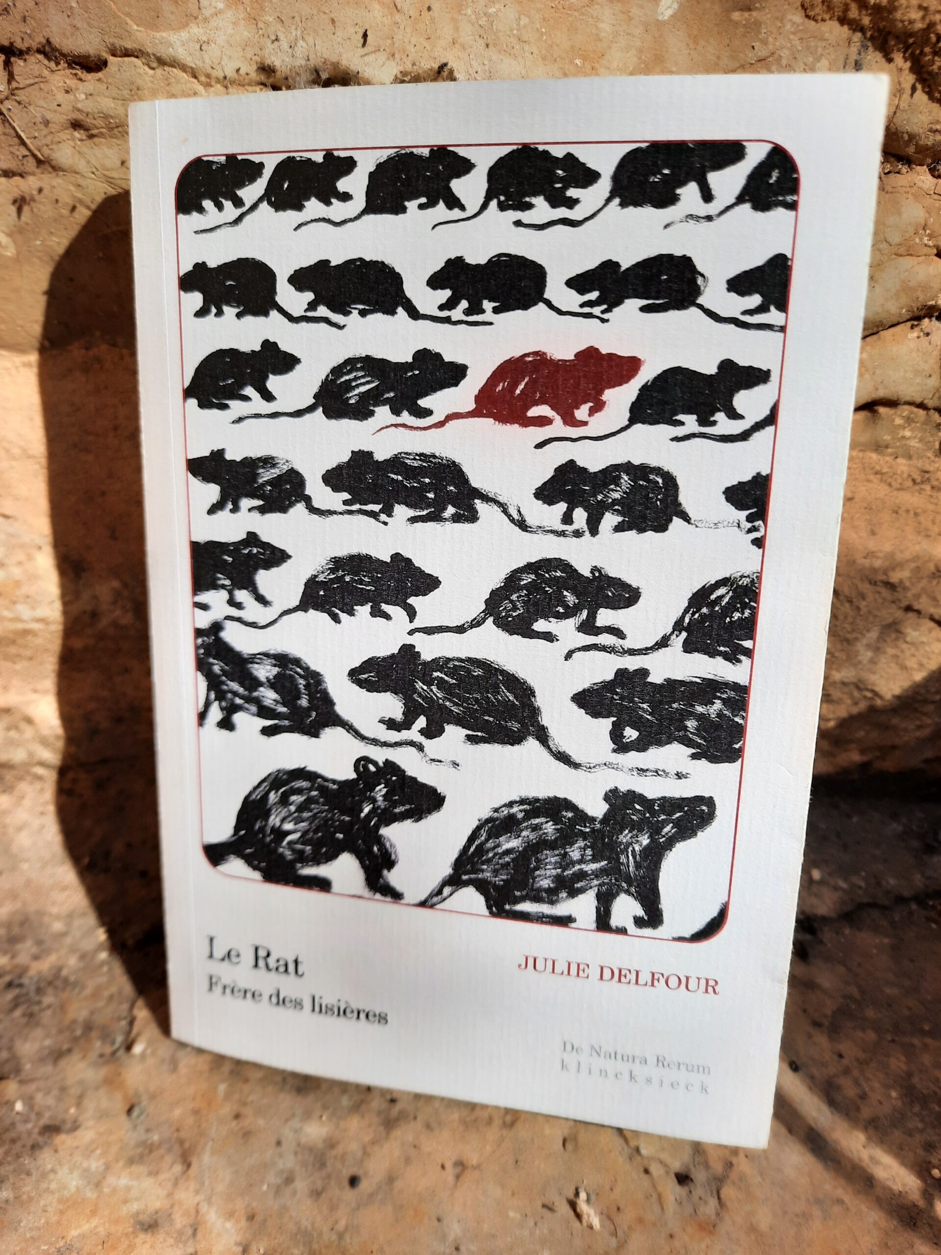 couverture livre Le Rat de Julie Delfour