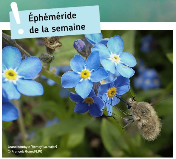 Ephemeride image