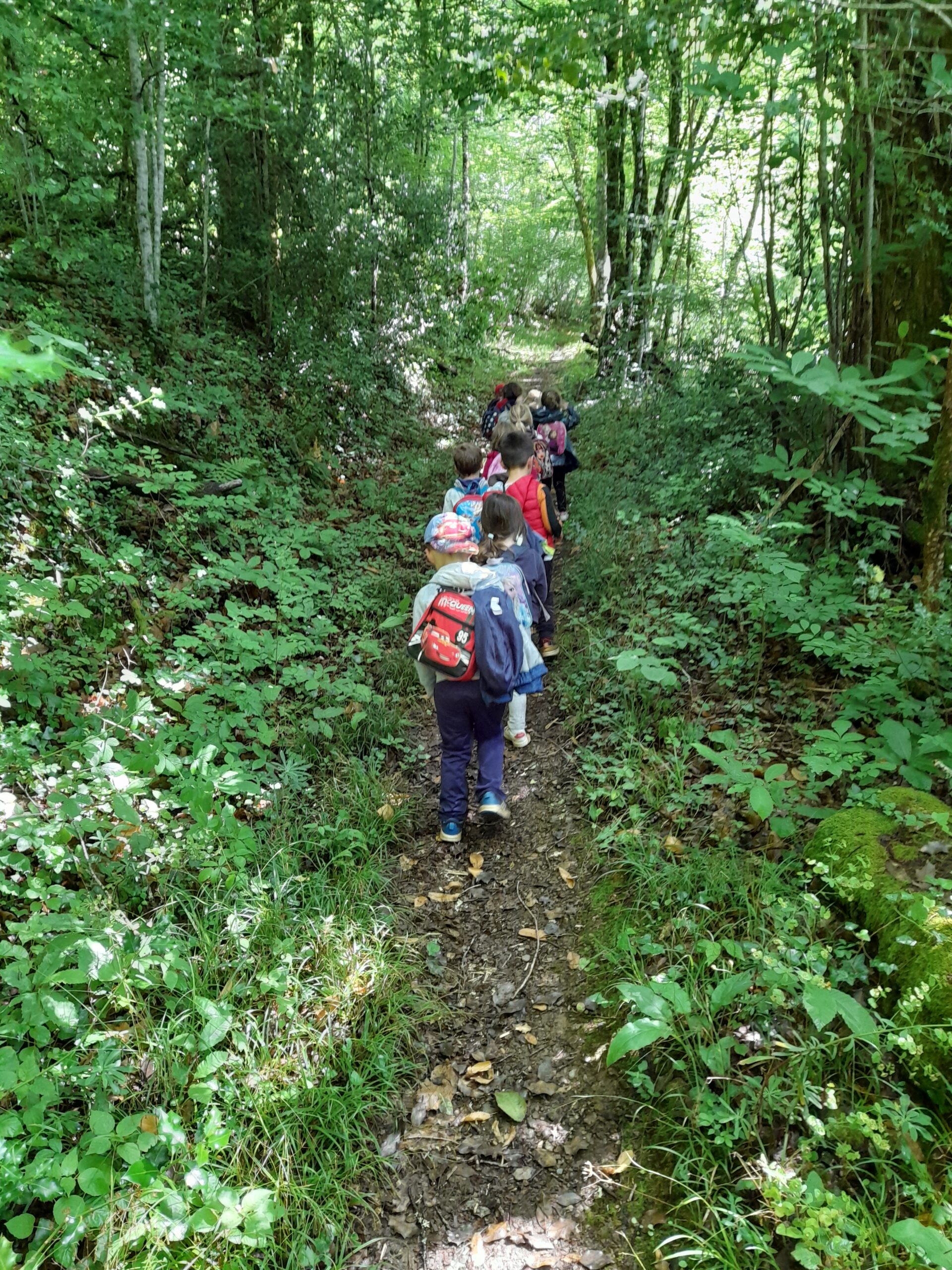 Balade sentier art-nature jeune public_Mathias ROTH (2)