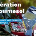Opération Tournesol – Vente de graines