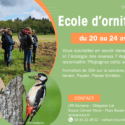 L&rsquo;école d&rsquo;ornithologie : c&rsquo;est reparti !