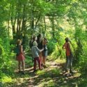 Retour sur l’animation « Oiseaux des villages et des forêts » à Bio