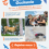 Nous relançons le Groupe Jeunes LPO Occitanie dans le Lot !